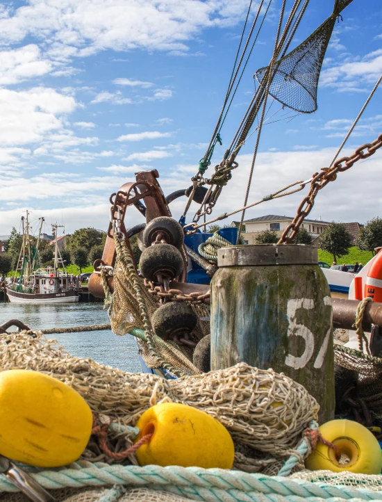 Fischernetze und Kutter im Büsumer Hafen